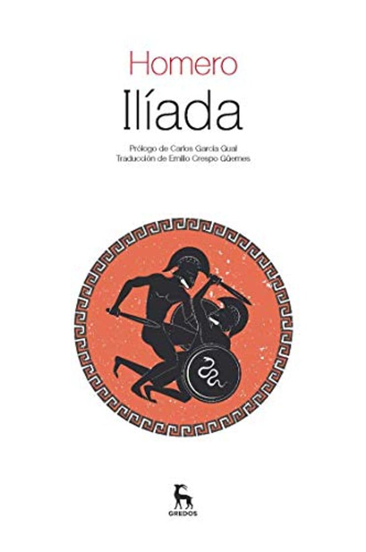 Libro Ilíada