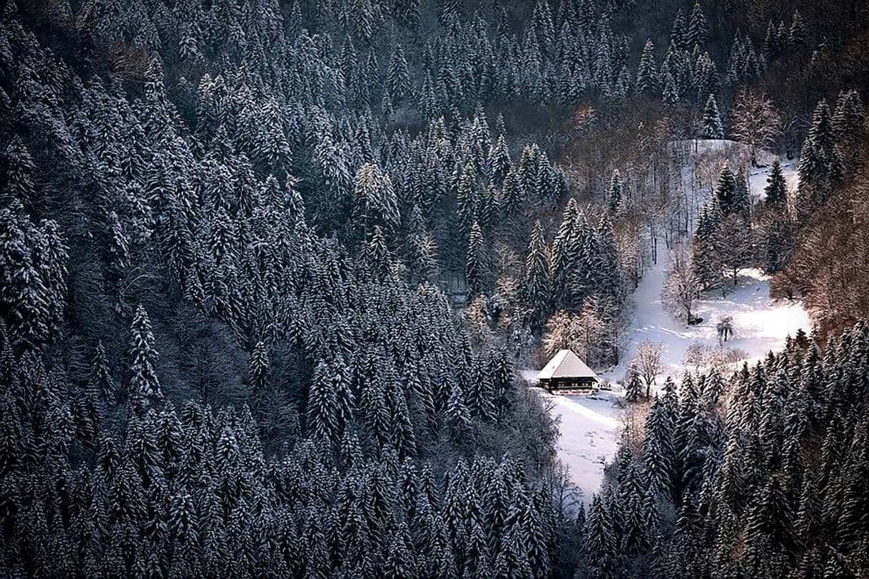 Moda Bosque Negro🌲, Alemania