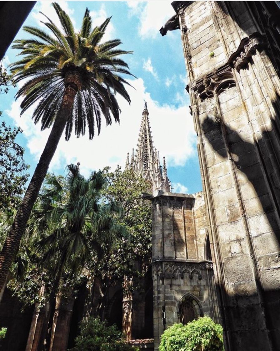 Place Catedral de Barcelona