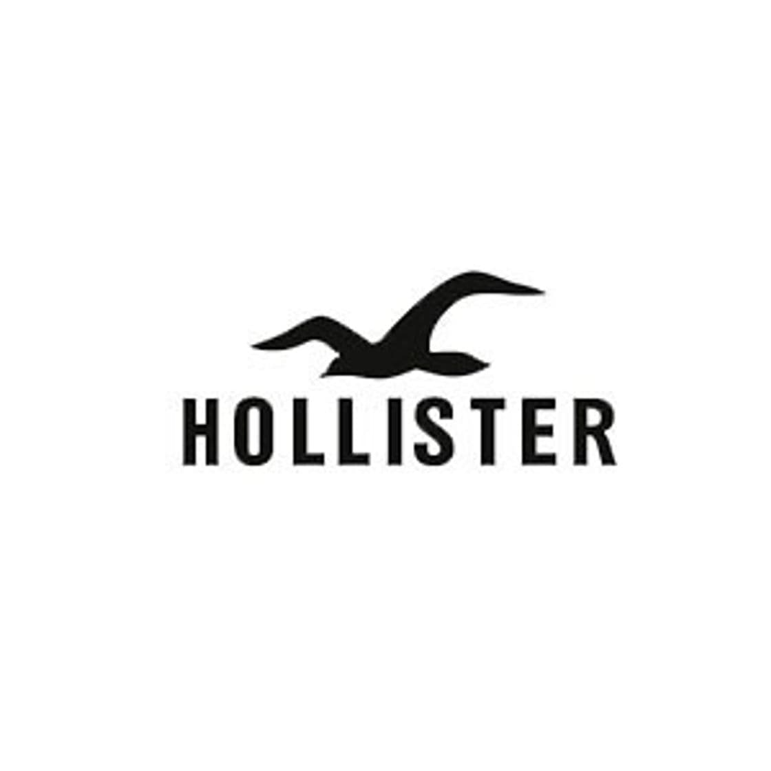 Moda Clothing for Guys & Girls - Hollister Co.