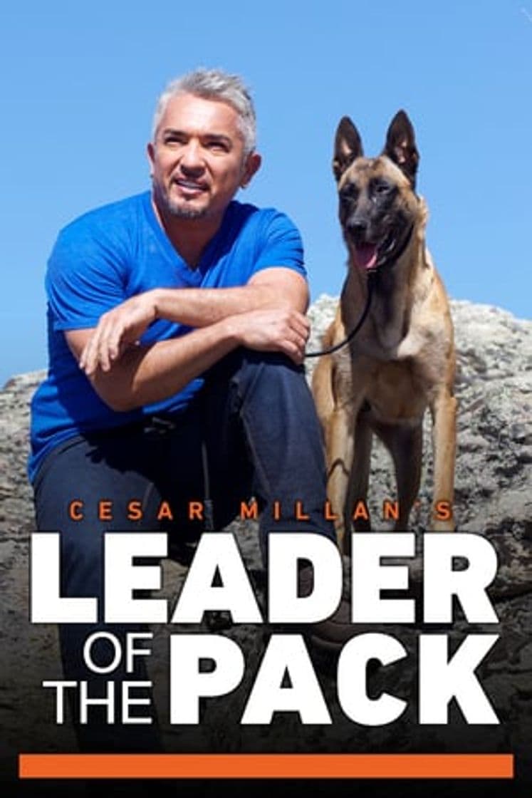 Serie Cesar Millan's Leader of the Pack