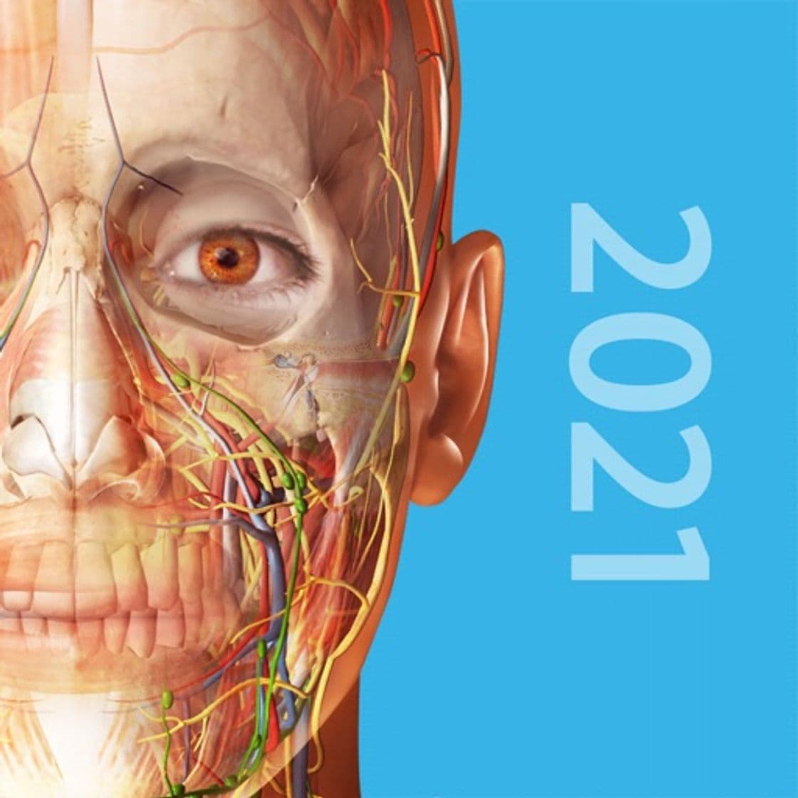 App Human Anatomy Atlas 2021