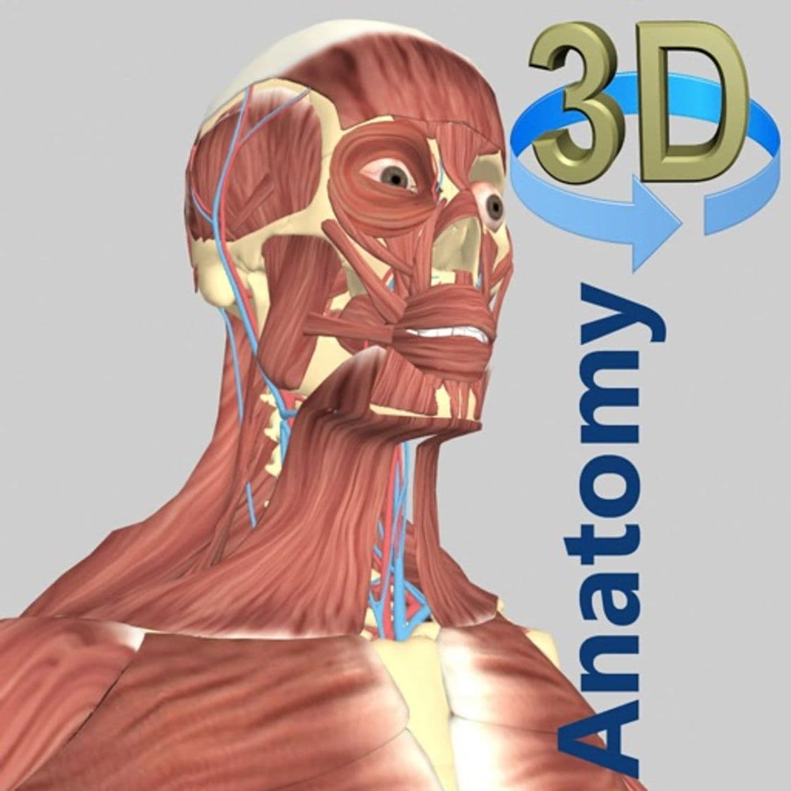 App 3D Anatomy