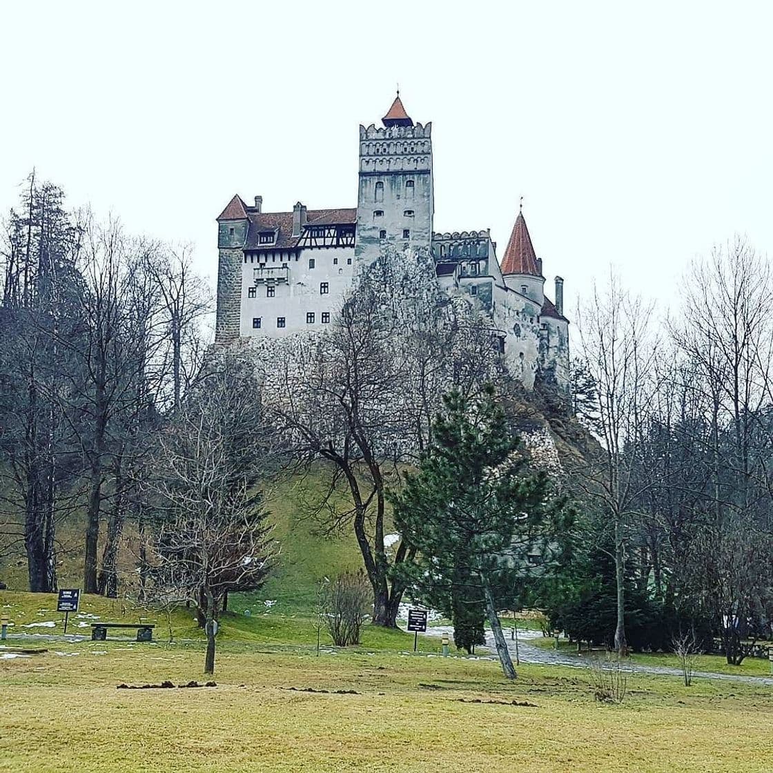 Place Castelul Bran