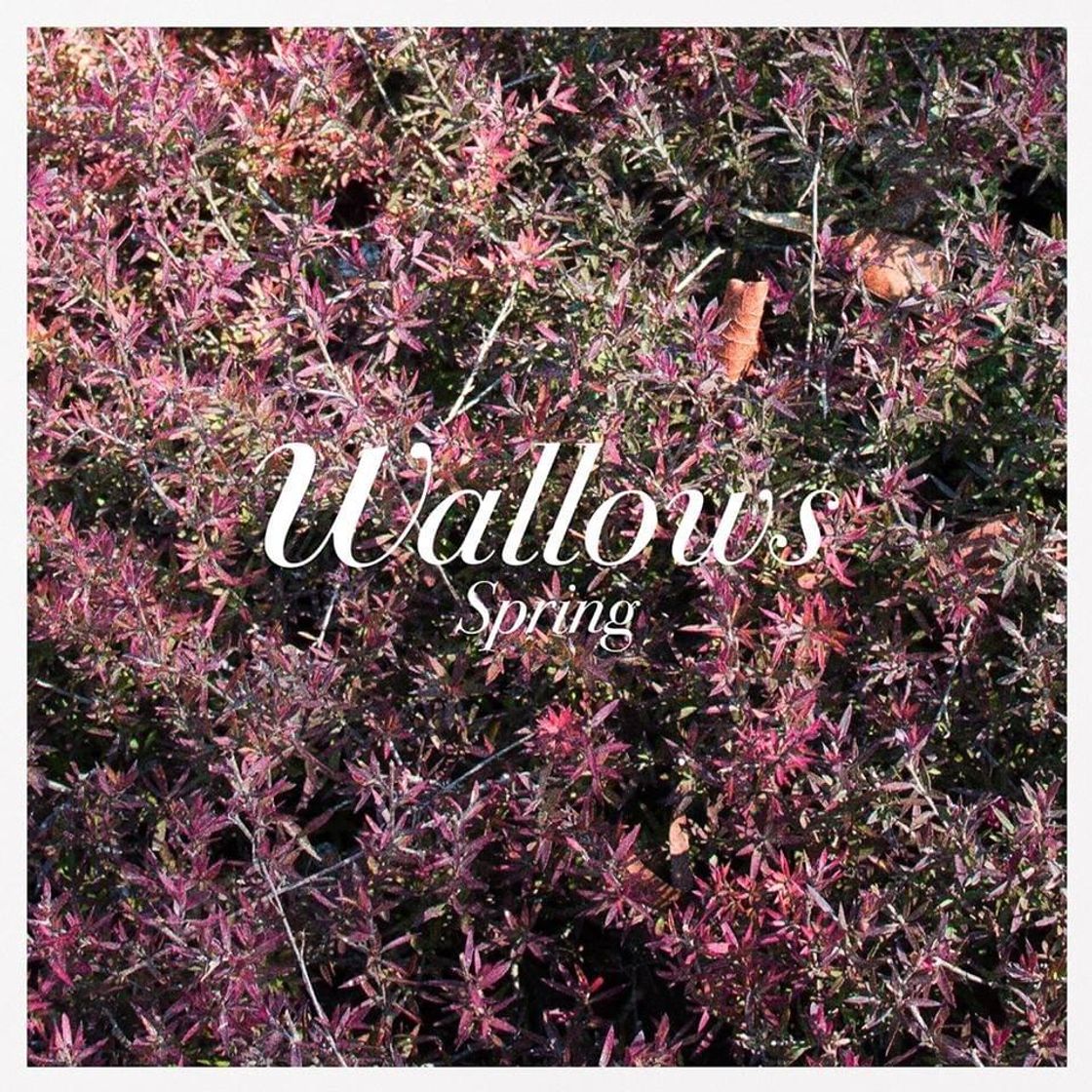 Canción Wallows - These Days