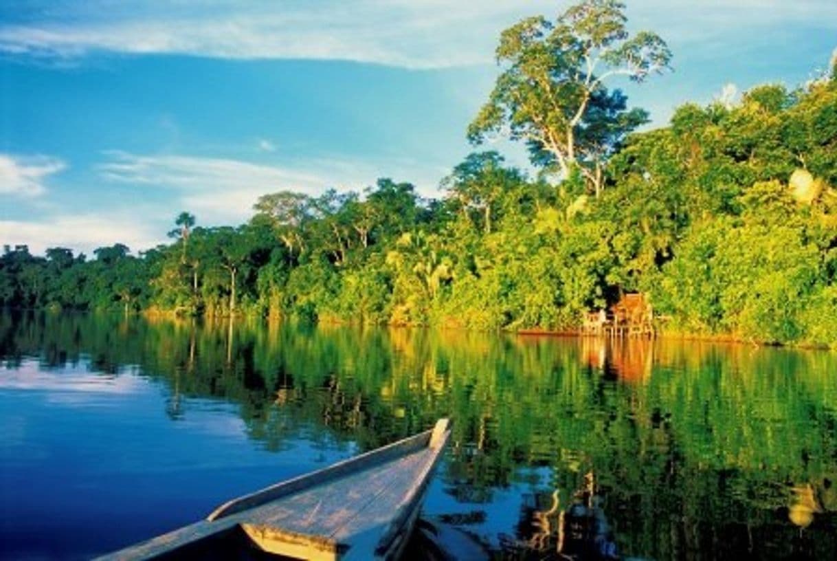 Lugar Parque Nacional del Manu