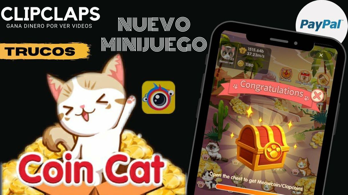 Fashion COIN CAT 🐈 Nuevo MiniGame | Clipclaps 