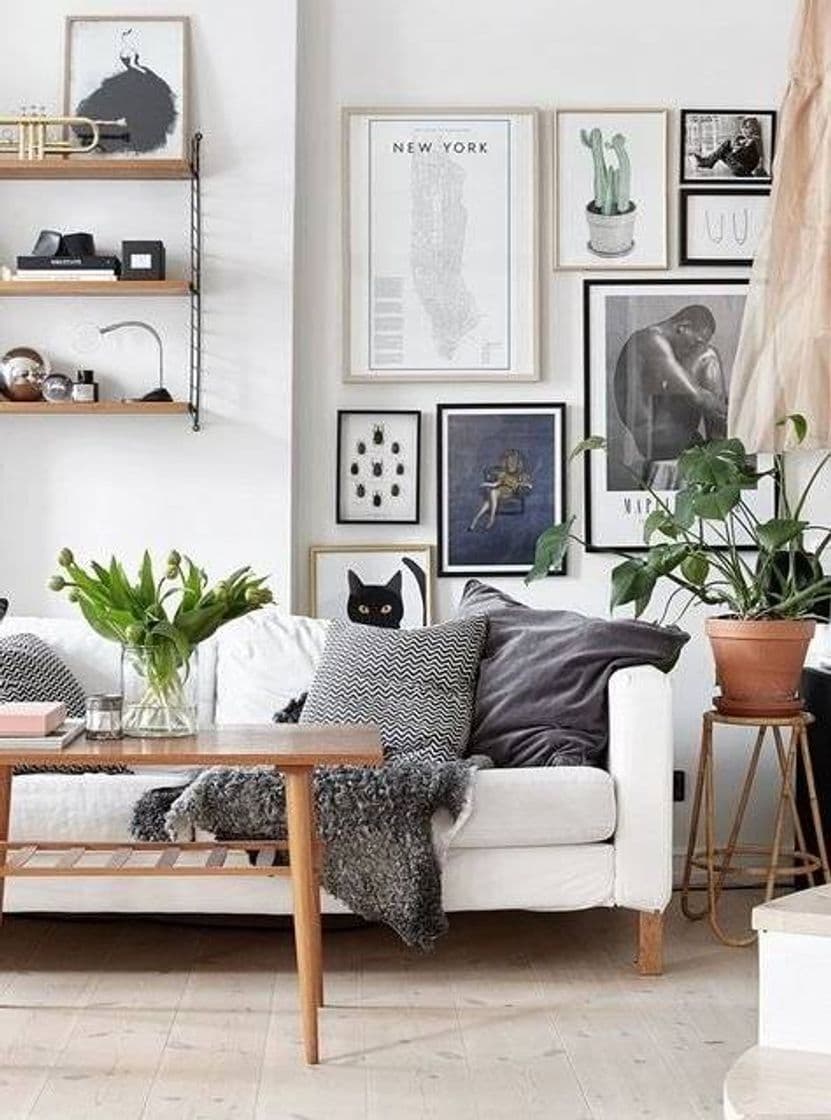 Moda Décor do dia: sala branca com plantas e quadros 