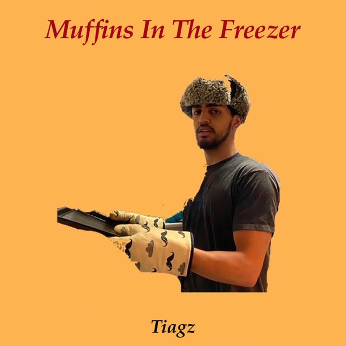 Canción Muffins In The Freezer