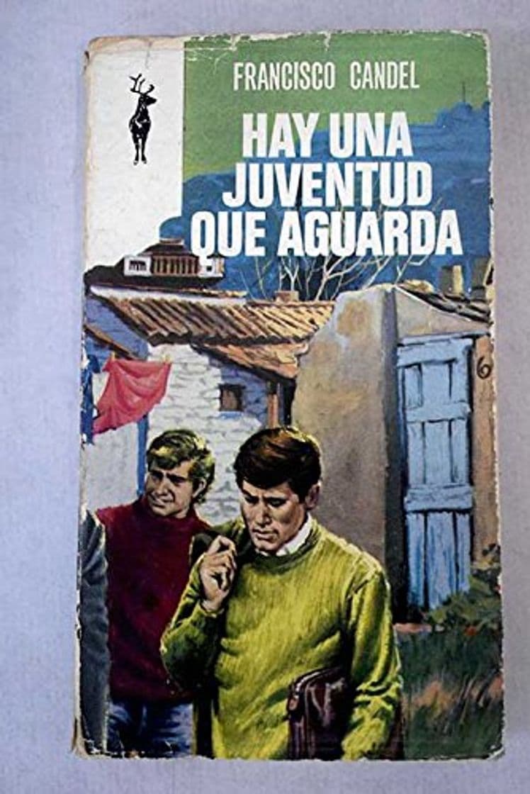 Book Hay una juventud que aguarda