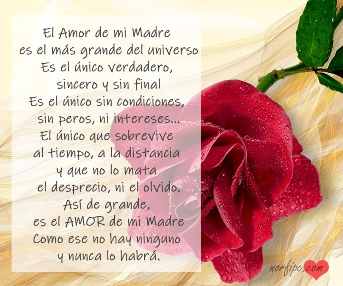 Fashion El amor de mi Madre, poema para agradecer su inmenso amor