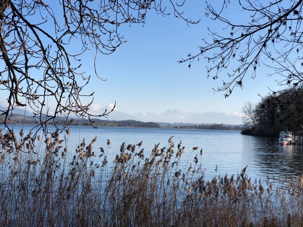 Place Greifensee