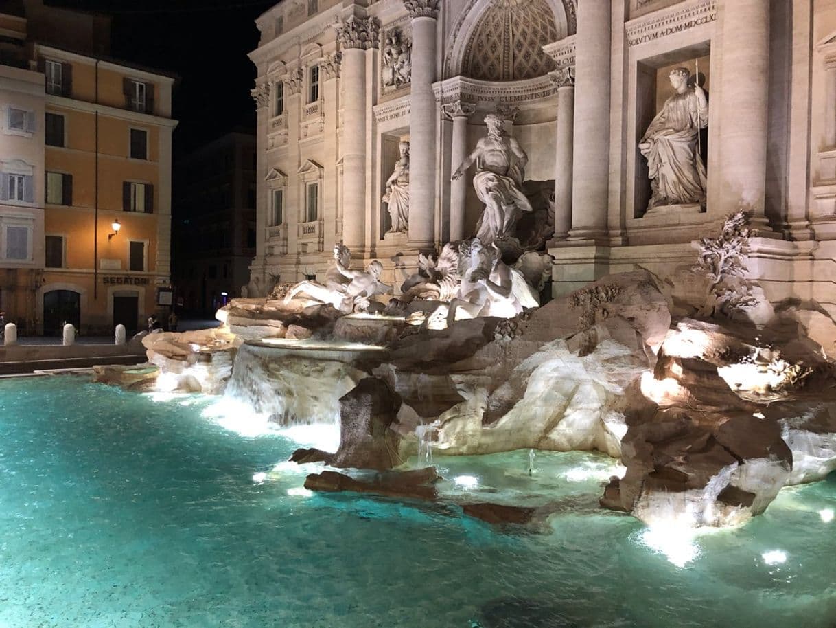 Place Trevi Fountain