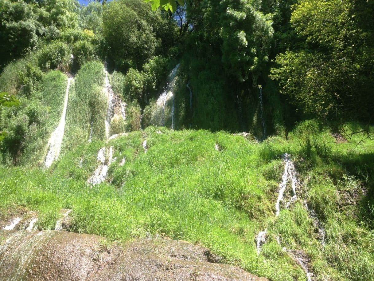 Place Monasterio de piedra