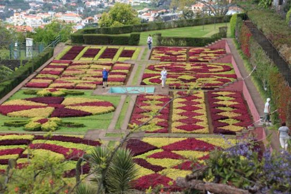 Lugar Travessa do Jardim Botânico