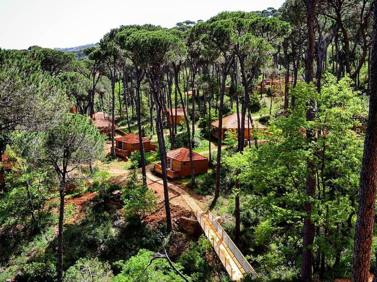 Place La Maison de la Forêt