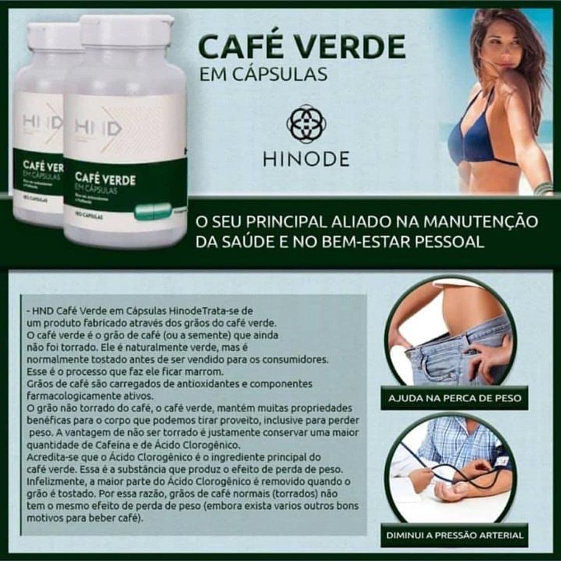 Moda Café verde Hinode