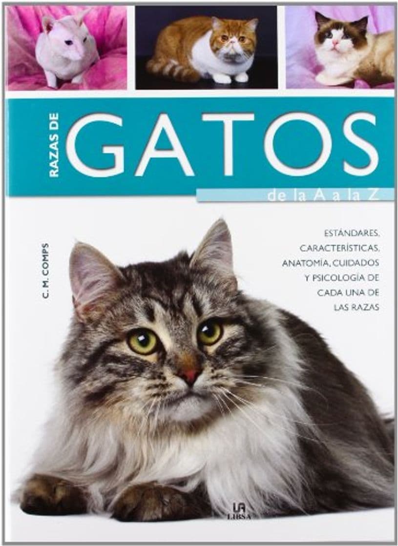 Product Razas de Gatos de la A a la Z: Características, Estándares, Anatomía,