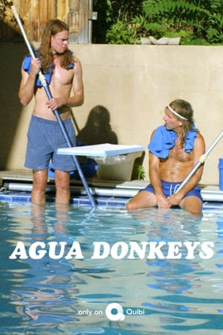 Serie Agua Donkeys