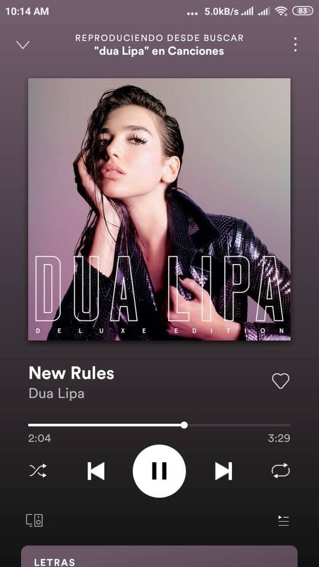 Music New Rules - Dua Lipa