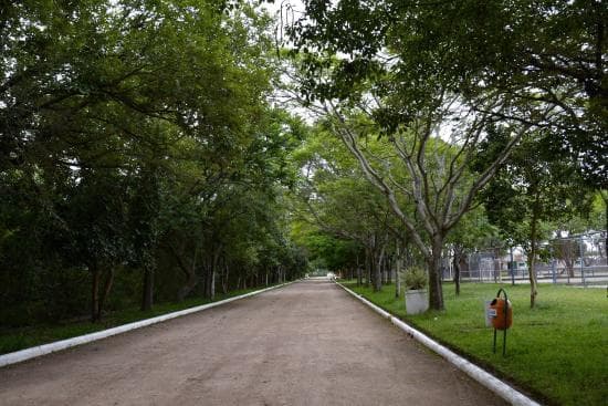 Lugar Parque Eduardo Gomes