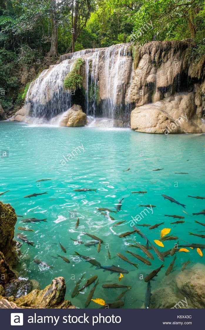 Place Erawan National Park