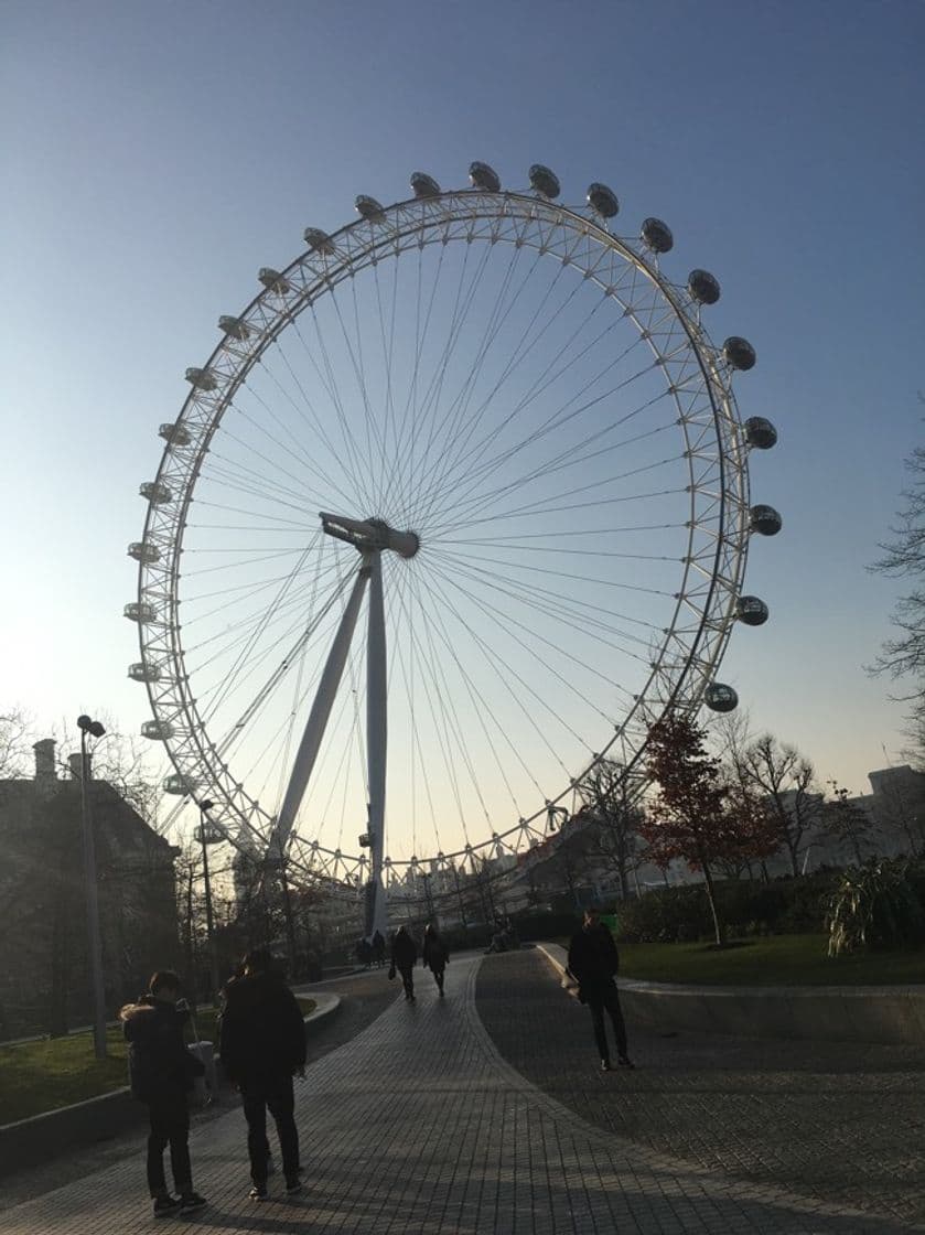 Place London Eye