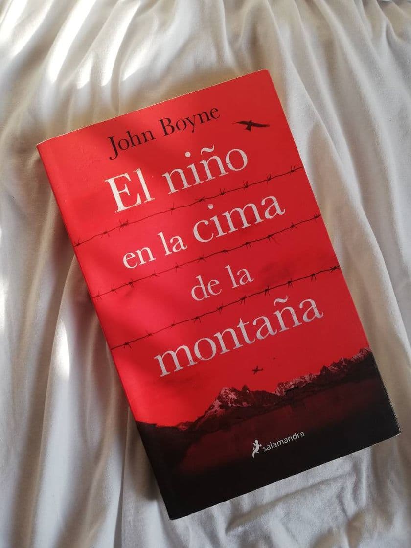 Book El niño en la cima de la montaña