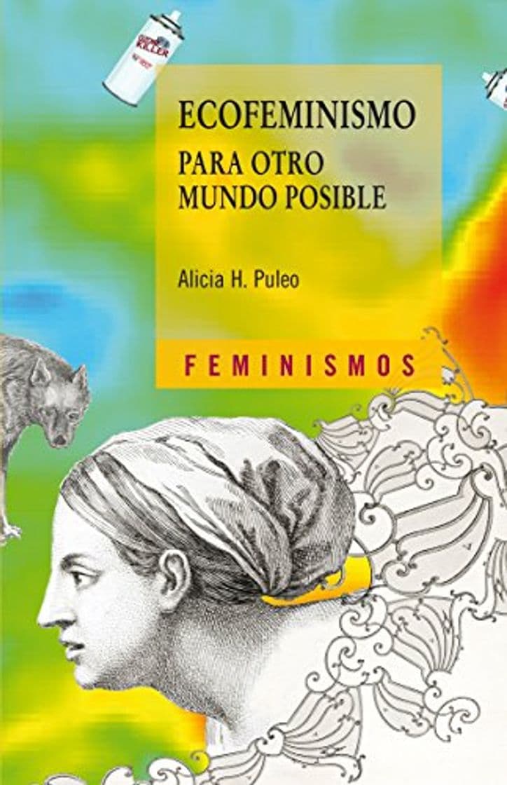 Book Ecofeminismo para otro mundo posible