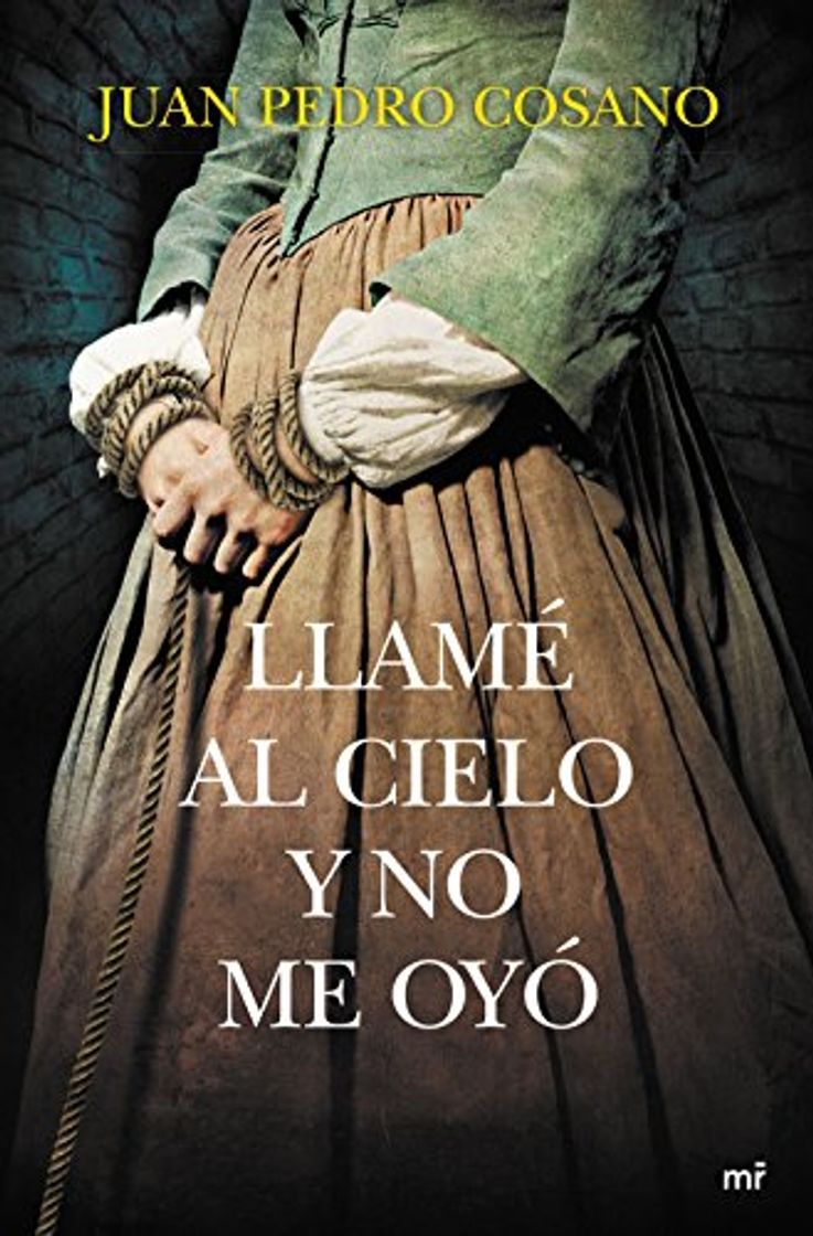 Book Llamé al cielo y no me oyó