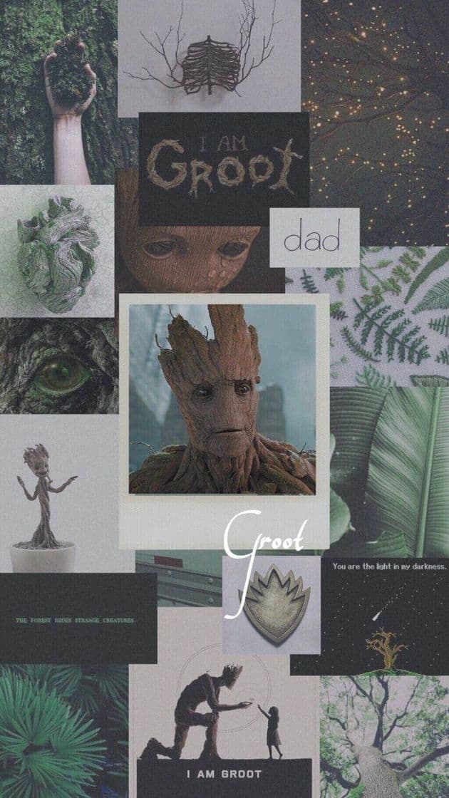 Moda I AM GROOT