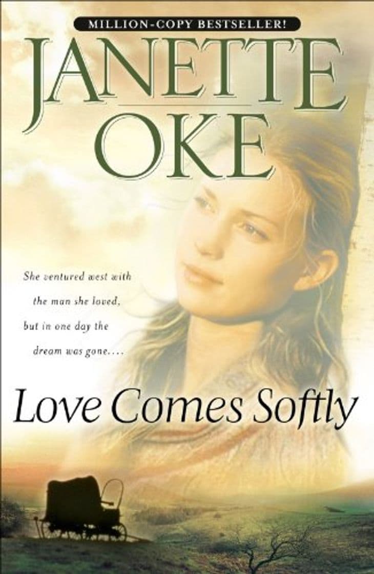 Book Love Comes Softly