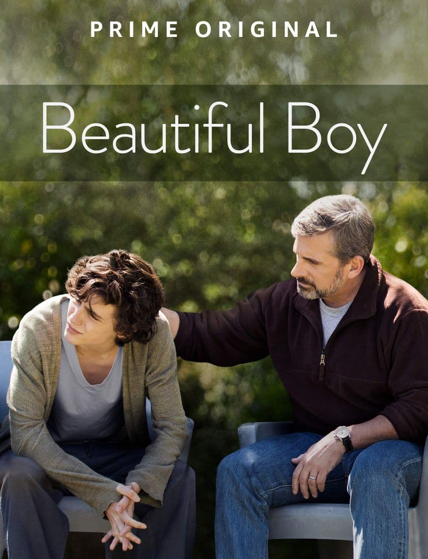 Película Beautiful Boy