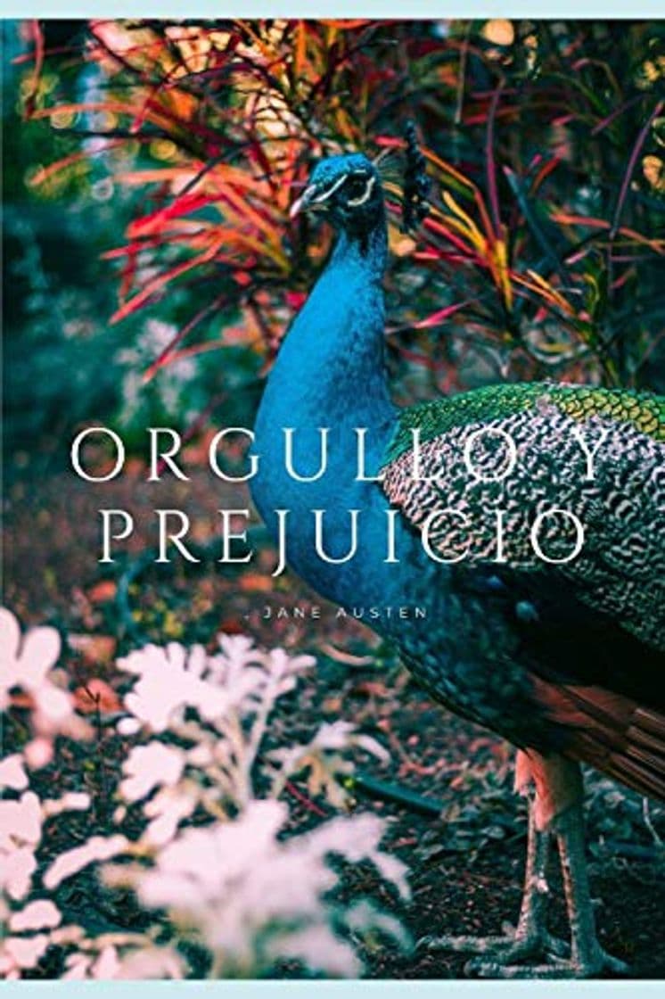 Book ORGULLO Y PREJUICIO