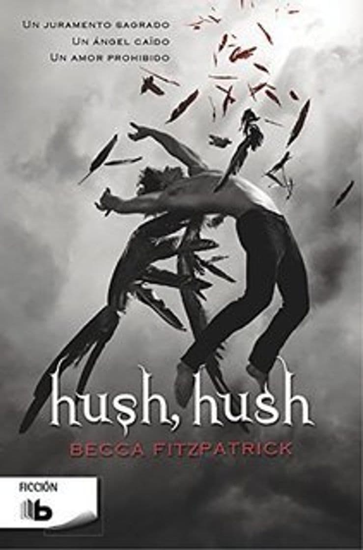 Libro Hush, Hush