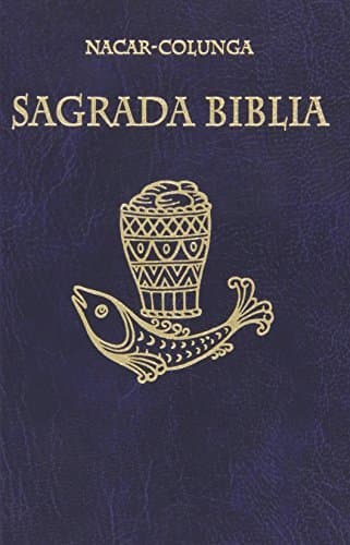 Book Sagrada Biblia tapa dura popular