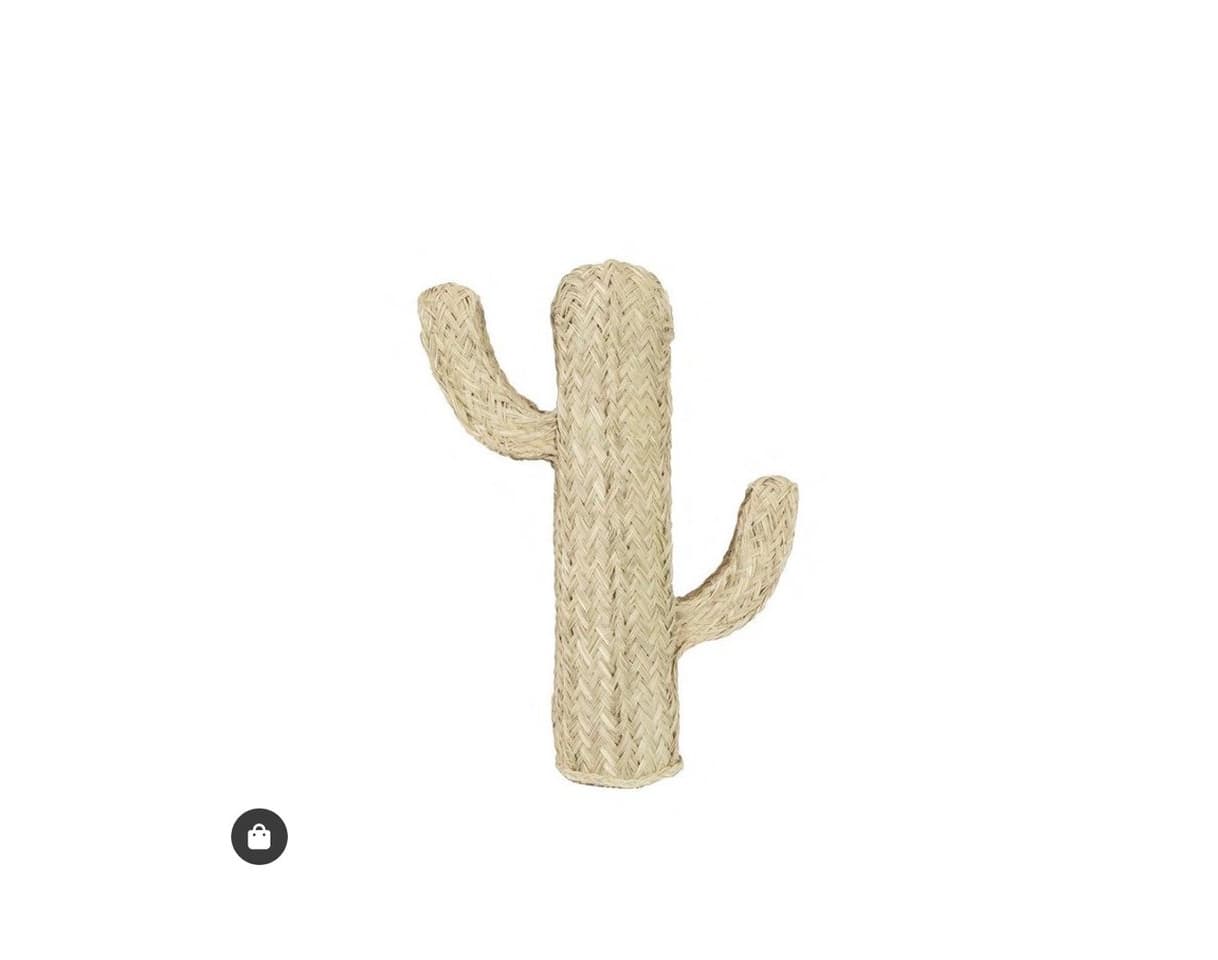 Producto Cactus de esparto