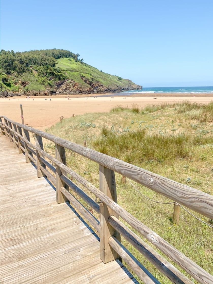 Lugar Playa De La Arena