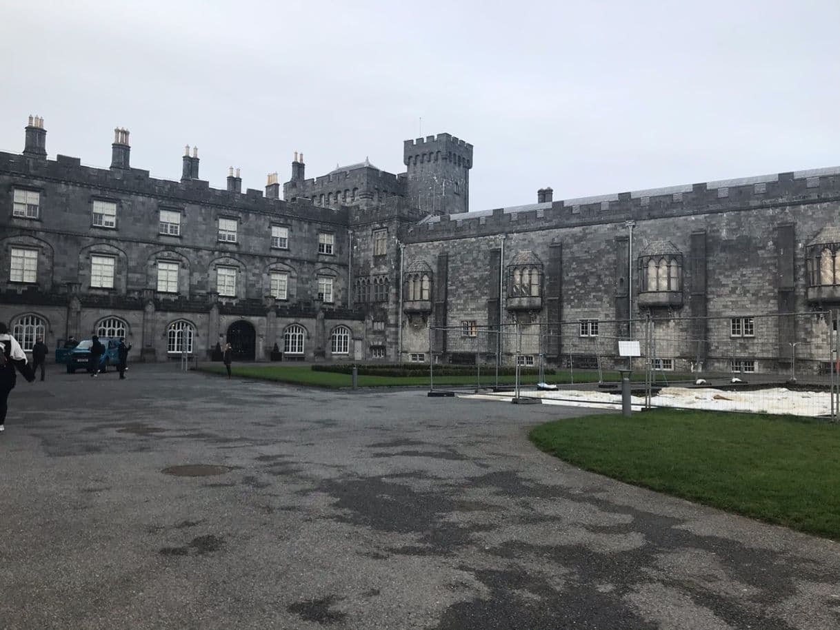 Place Kilkenny Castle