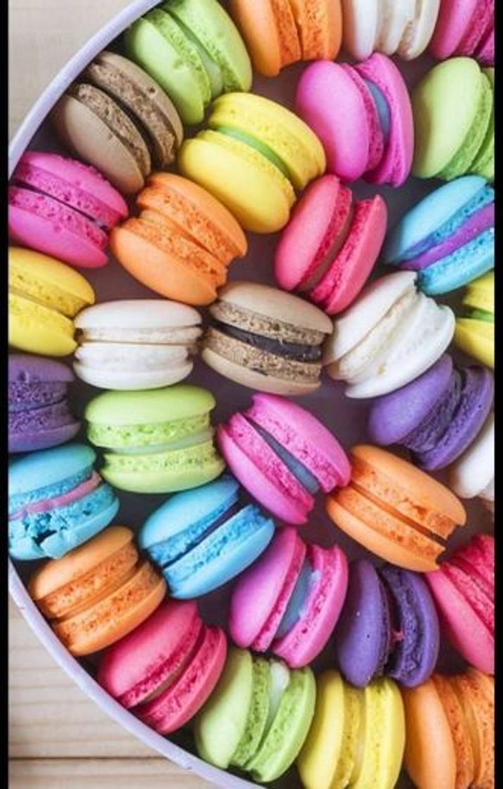 Moda Macaron