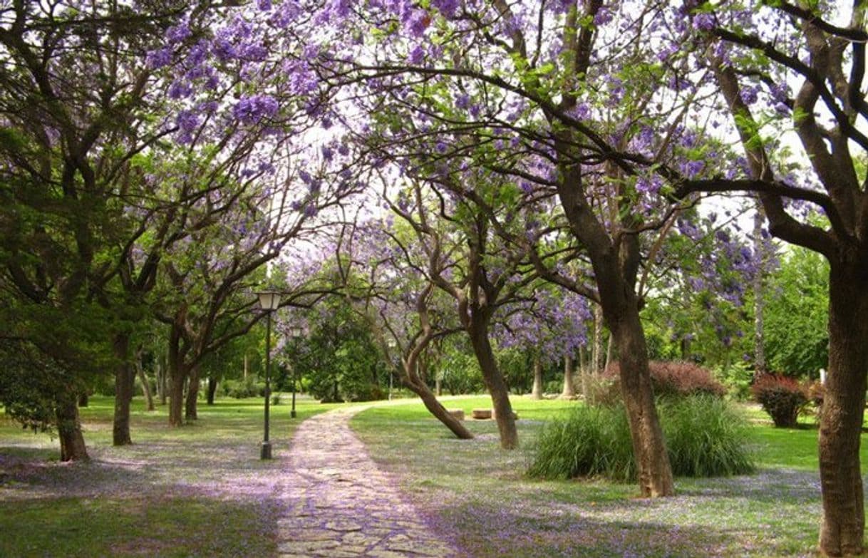 Lugar El Parque de Los Principes