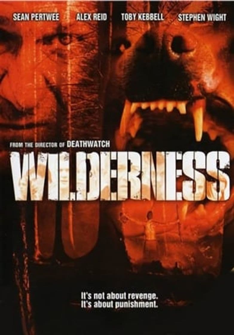 Movie Wilderness