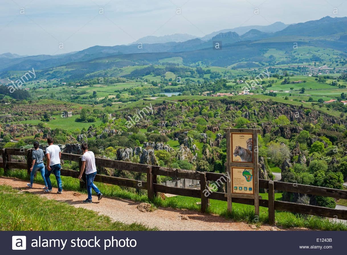 Place Cabárceno Natural Park