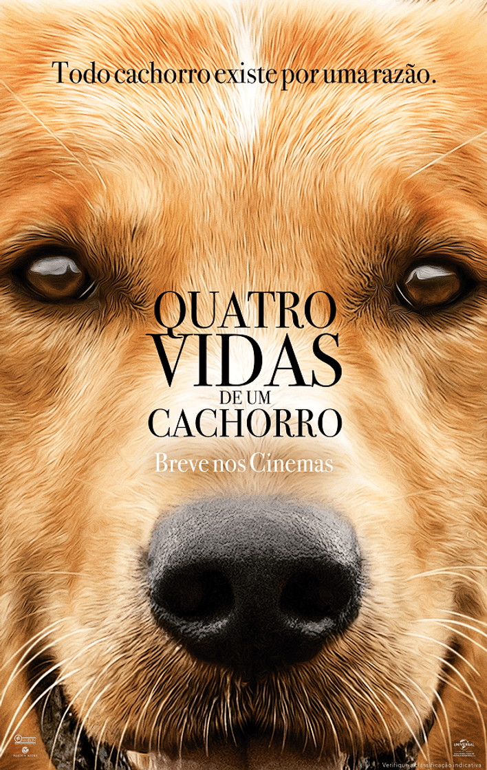 Moda Quatro vidas de um cachorro