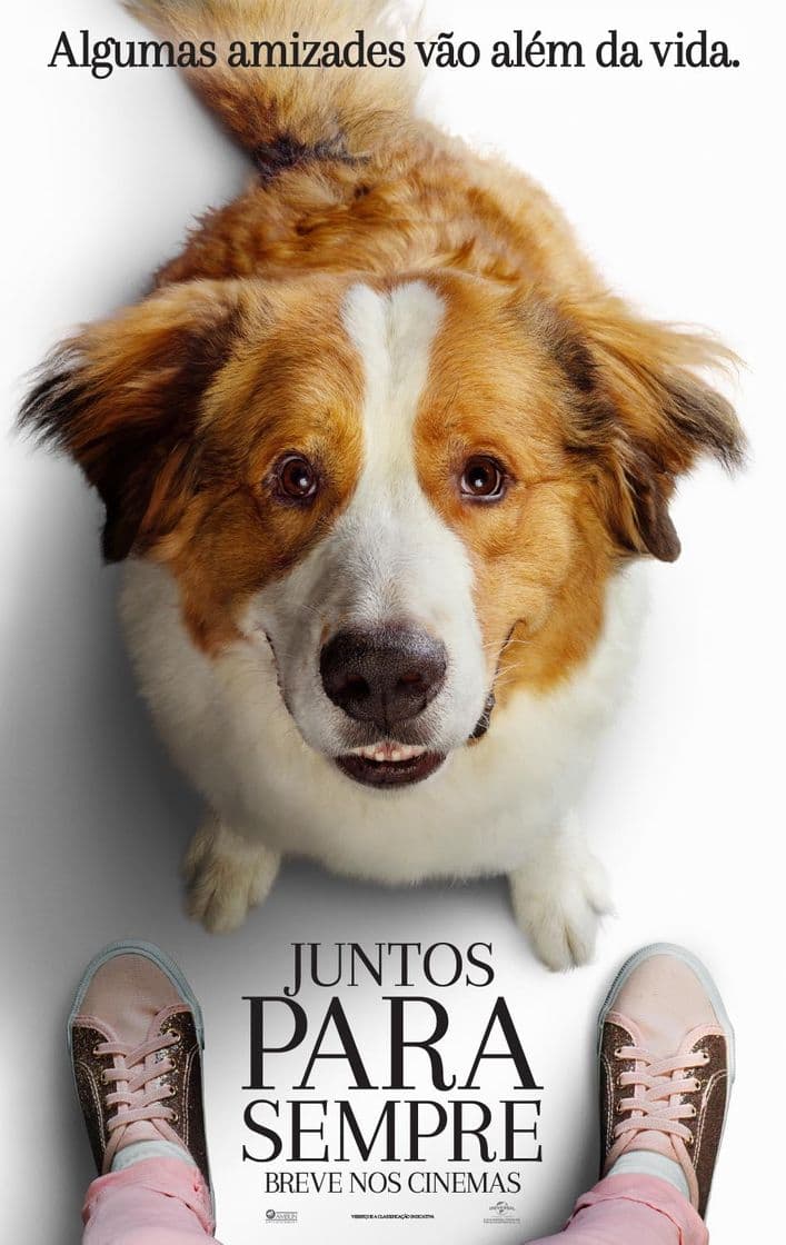 Película A Dog's Purpose