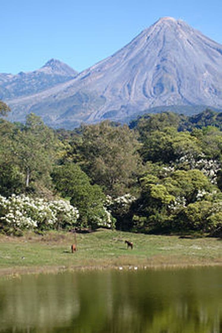 Restaurantes Colima