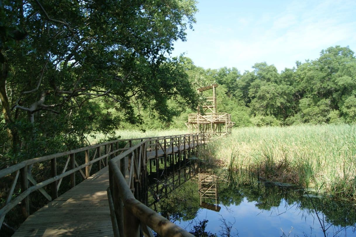 Place Vía Parque Isla de Salamanca