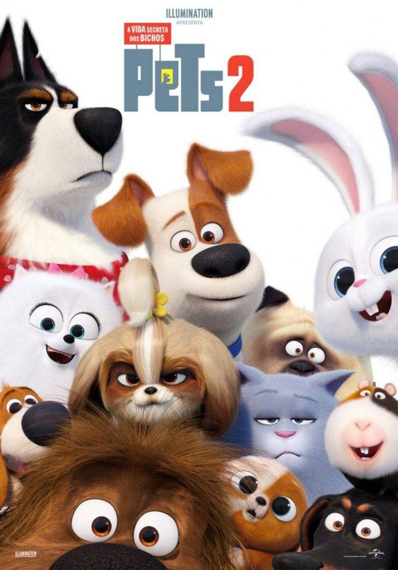 Película  Pets - A Vida Secreta dos Bichos 2 