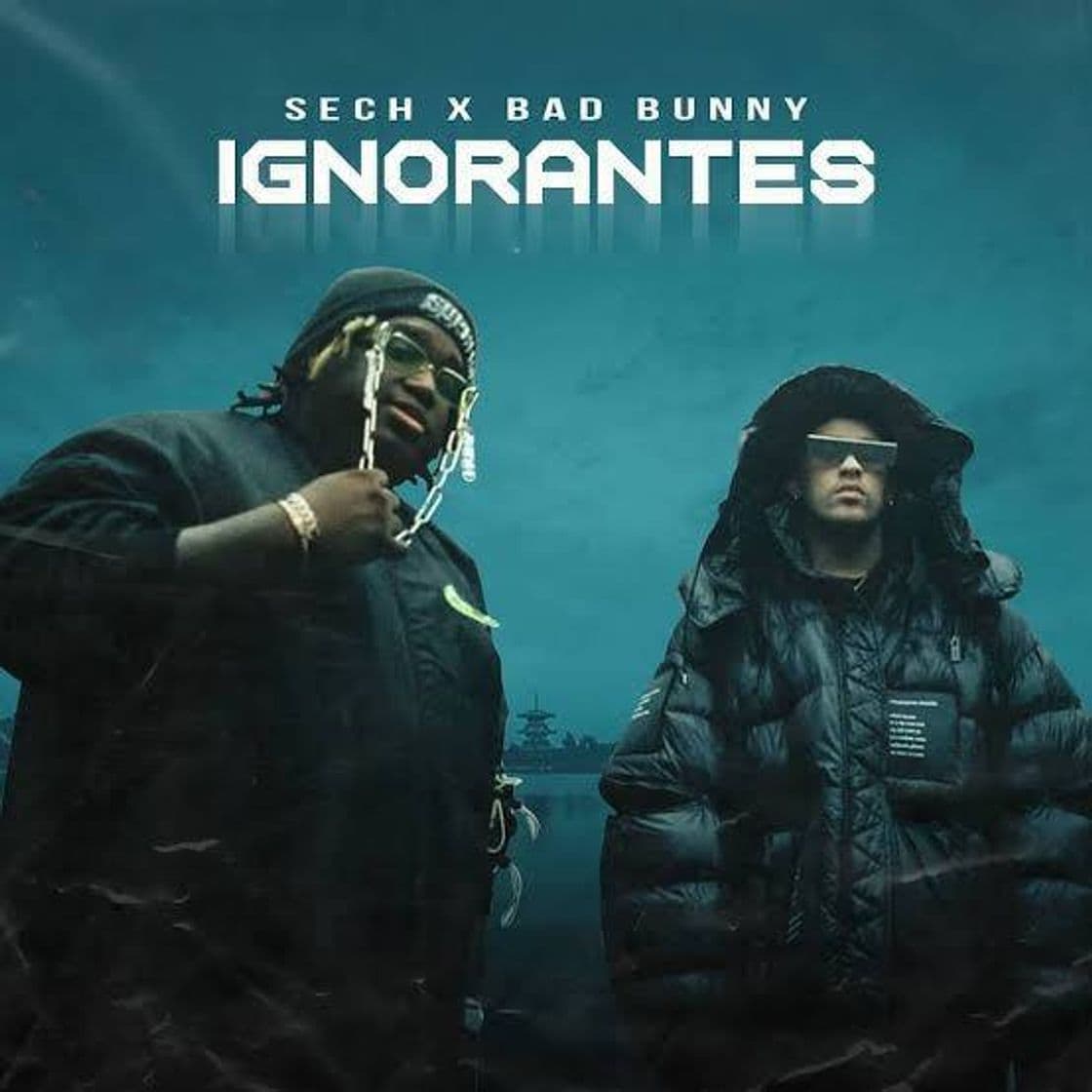 Music Ignorantes - Bad Bunny x Sech ( Video Oficial ) - YouTube