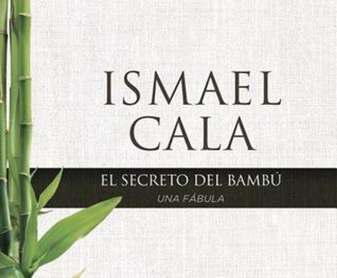 Book El secreto del Bambú